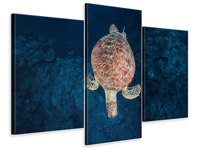 modern-3-piece-canvas-print-green-turtle-on-blue-water