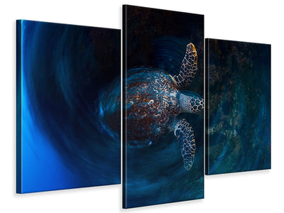 modern-3-piece-canvas-print-hawksbill-sea-turtle