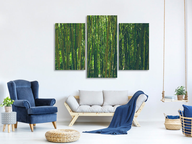 modern-3-piece-canvas-print-in-the-middle-of-the-bamboo