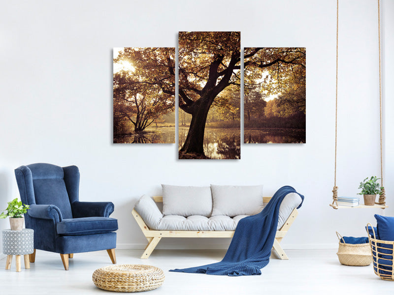 modern-3-piece-canvas-print-landscape-park