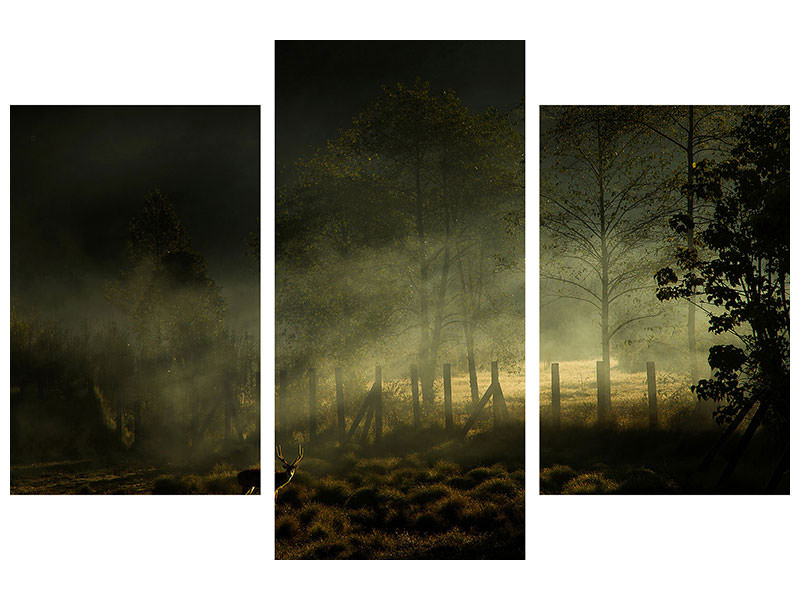 modern-3-piece-canvas-print-misty-morning-ii