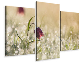 modern-3-piece-canvas-print-morningdew