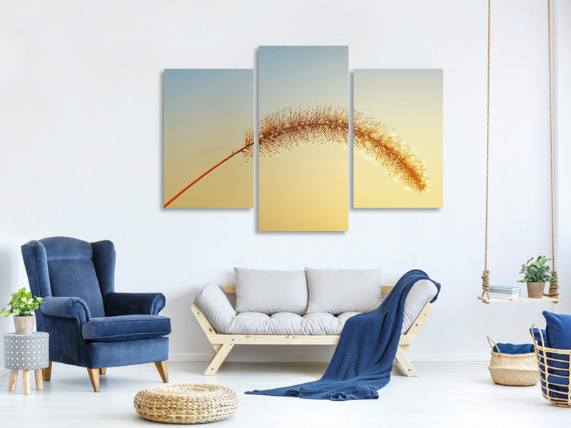 modern-3-piece-canvas-print-ornamental-grass-in-xxl