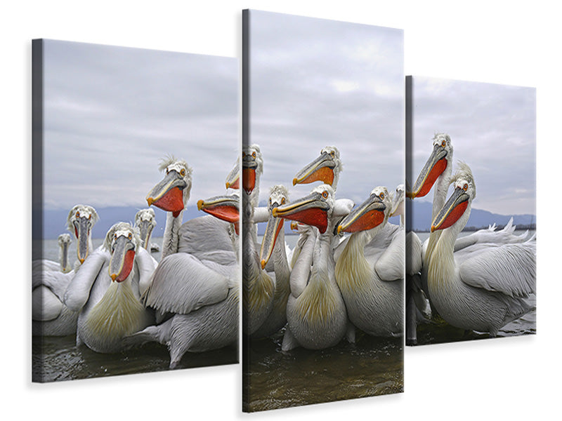 modern-3-piece-canvas-print-pay-attention