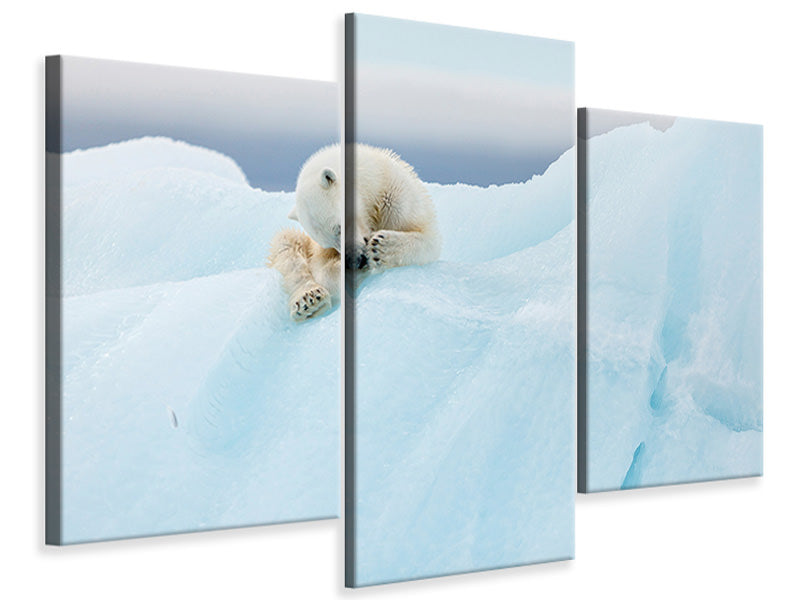 modern-3-piece-canvas-print-polar-bear-grooming