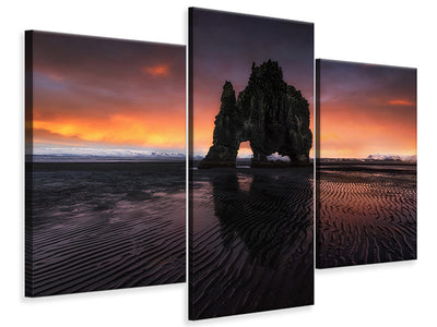 modern-3-piece-canvas-print-rhino