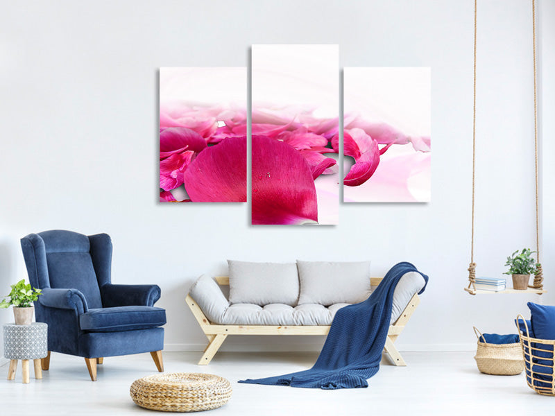 modern-3-piece-canvas-print-rose-petals-in-pink-iii