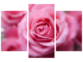 modern-3-piece-canvas-print-roses-macro