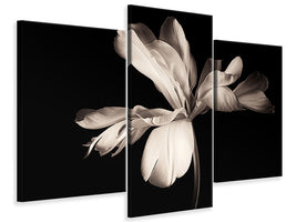 modern-3-piece-canvas-print-simplicity