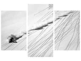 modern-3-piece-canvas-print-skiing-powder