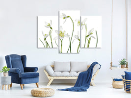 modern-3-piece-canvas-print-spring-snowdrops