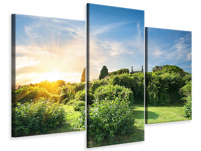 modern-3-piece-canvas-print-sunrise-in-the-park