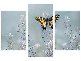 modern-3-piece-canvas-print-swallowtail-beauty