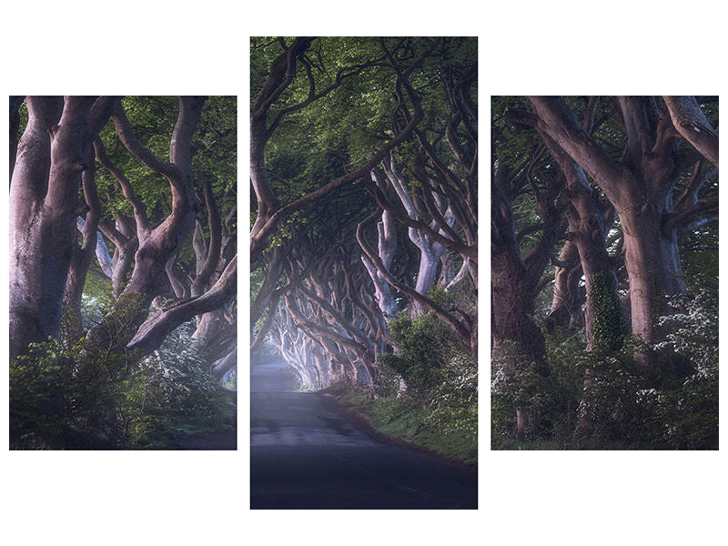 modern-3-piece-canvas-print-the-dark-hedges