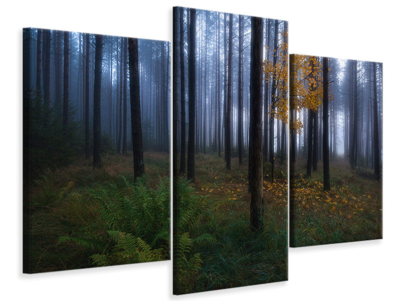 modern-3-piece-canvas-print-the-dark-light