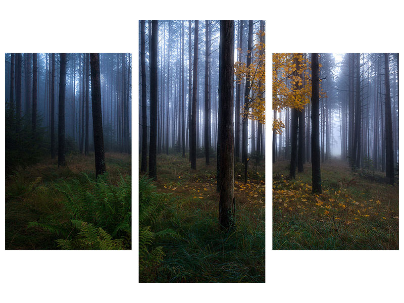 modern-3-piece-canvas-print-the-dark-light