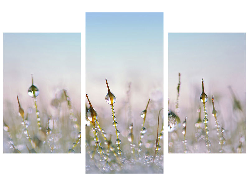 modern-3-piece-canvas-print-the-dew-drops