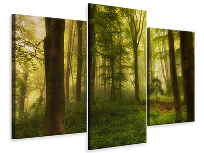 modern-3-piece-canvas-print-the-little-tree