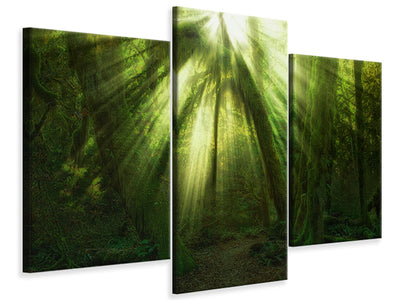 modern-3-piece-canvas-print-the-miracle