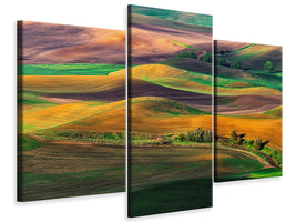 modern-3-piece-canvas-print-the-palouse