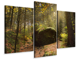 modern-3-piece-canvas-print-the-rock-in-the-forest