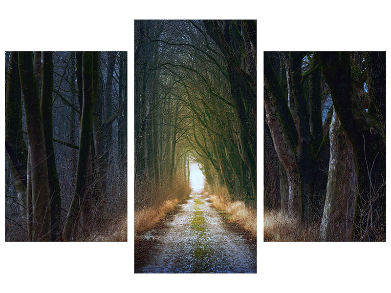 modern-3-piece-canvas-print-the-tree-avenue