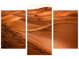 modern-3-piece-canvas-print-traces-in-the-desert