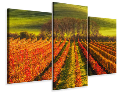 modern-3-piece-canvas-print-vine-growing