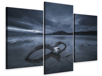 modern-3-piece-canvas-print-white-bone-beach
