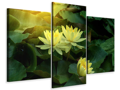 modern-3-piece-canvas-print-wild-lotus