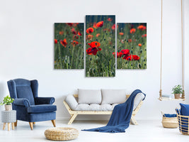 modern-3-piece-canvas-print-wild-poppy