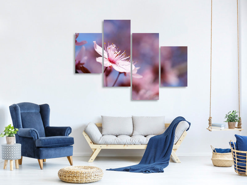 modern-4-piece-canvas-print-close-up-cherry-blossom