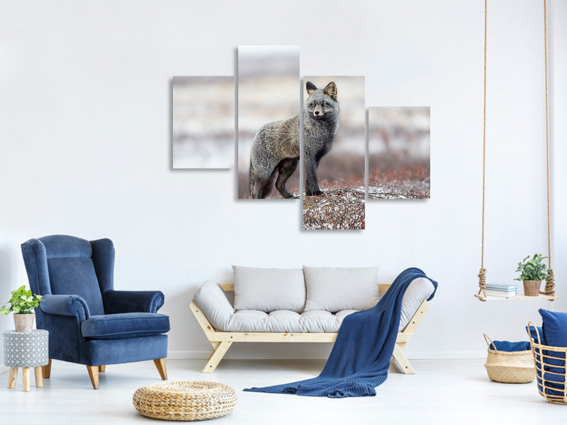 modern-4-piece-canvas-print-cross-fox