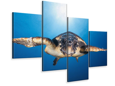 modern-4-piece-canvas-print-face-to-face-with-a-hawksbill-sea-turtle