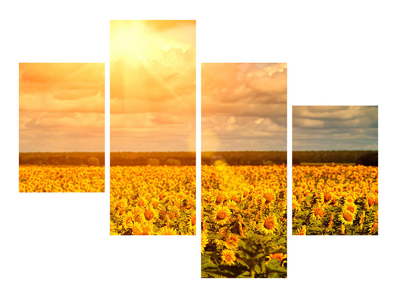 modern-4-piece-canvas-print-golden-light-sunflower