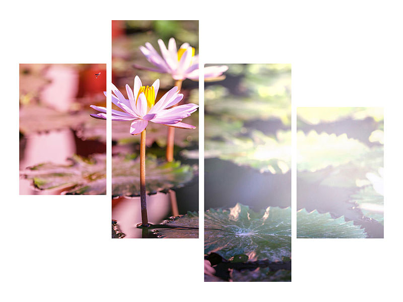 modern-4-piece-canvas-print-lilies-in-pond