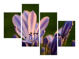 modern-4-piece-canvas-print-ornamental-lilies-with-morning-dew