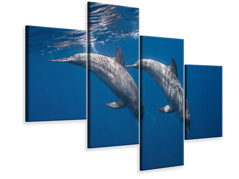 modern-4-piece-canvas-print-two-bottlenose-dolphins