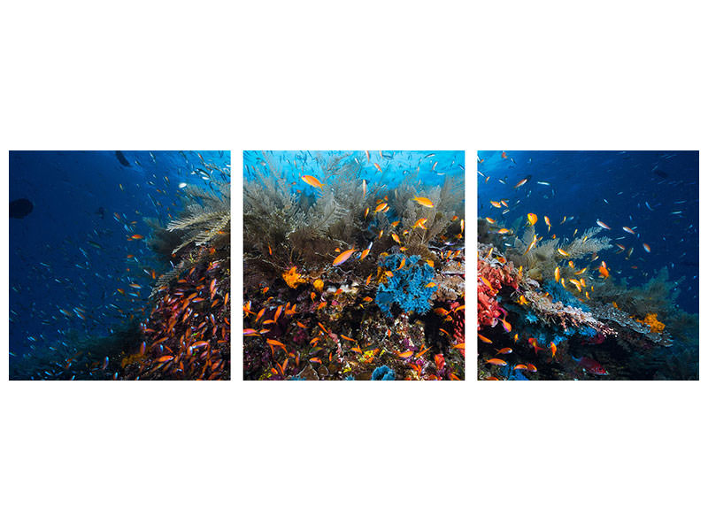 panoramic-3-piece-canvas-print-apnea