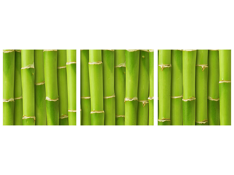 panoramic-3-piece-canvas-print-bamboo-wall