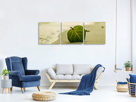 panoramic-3-piece-canvas-print-beach-leaf