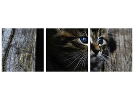 panoramic-3-piece-canvas-print-cats-child