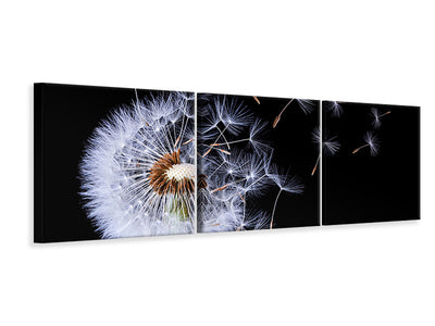 panoramic-3-piece-canvas-print-dandelion-blowing