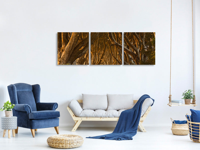 panoramic-3-piece-canvas-print-early-morning-dark-hedges