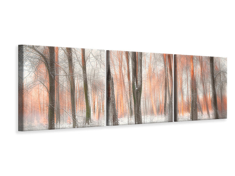 panoramic-3-piece-canvas-print-evening-light