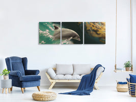 panoramic-3-piece-canvas-print-fascination-dolphin