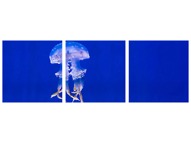 panoramic-3-piece-canvas-print-glowing-jellyfish