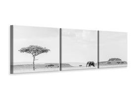 panoramic-3-piece-canvas-print-high-key-savannah