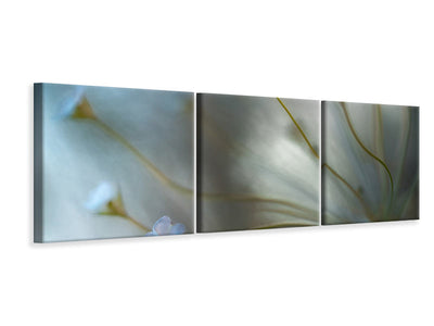 panoramic-3-piece-canvas-print-jasmine