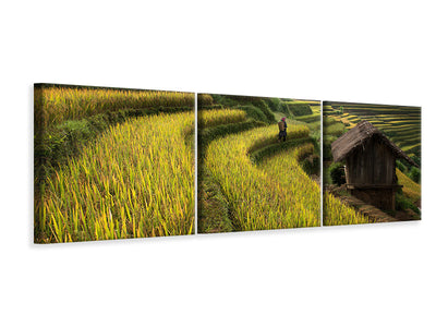 panoramic-3-piece-canvas-print-keep-walking